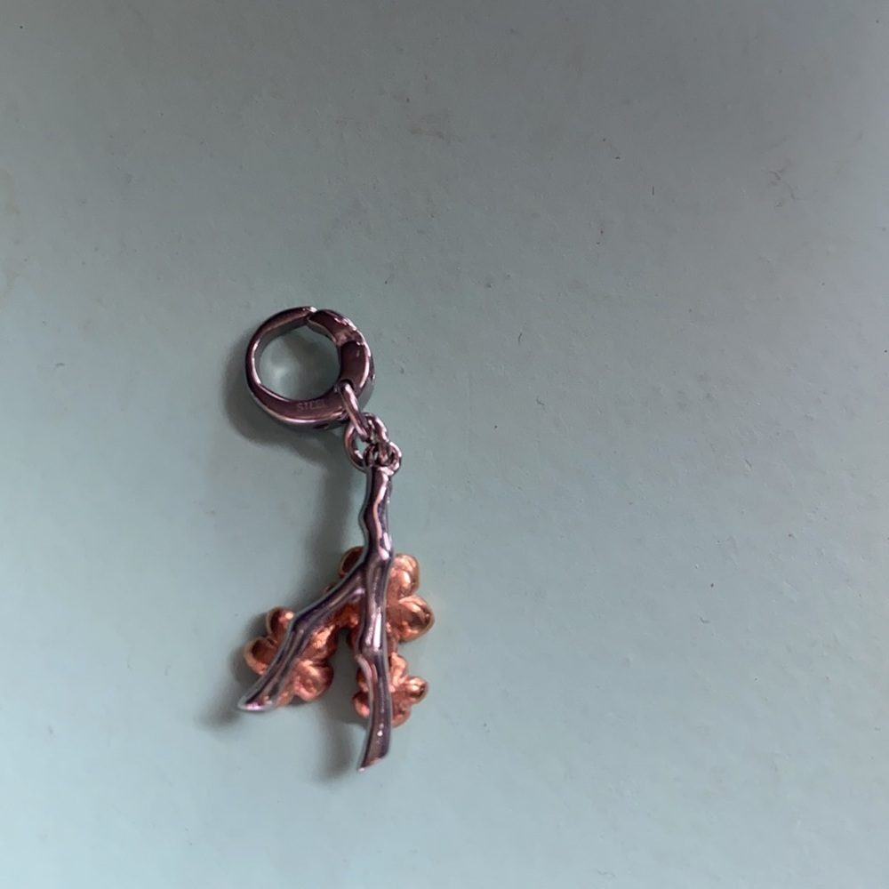 fossil charm - Picture 3 of 3